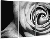 Peinture | Peinture sur toile Rose, Fleur | Noir, blanc, gris | 120x80cm 3 Liège | Tirage photo sur toile