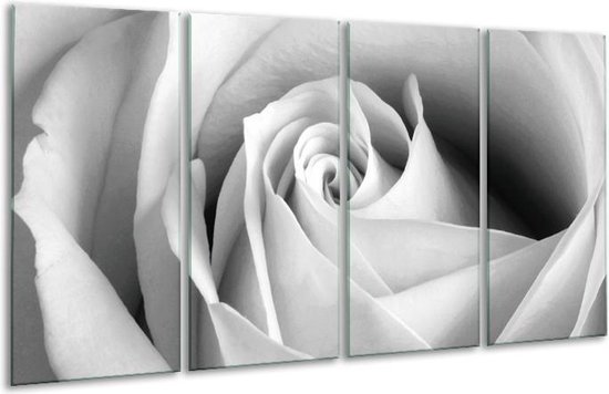 Glas schilderij Roos, Bloem | Grijs, Zwart, Wit | | Foto print op Glas |  F006617