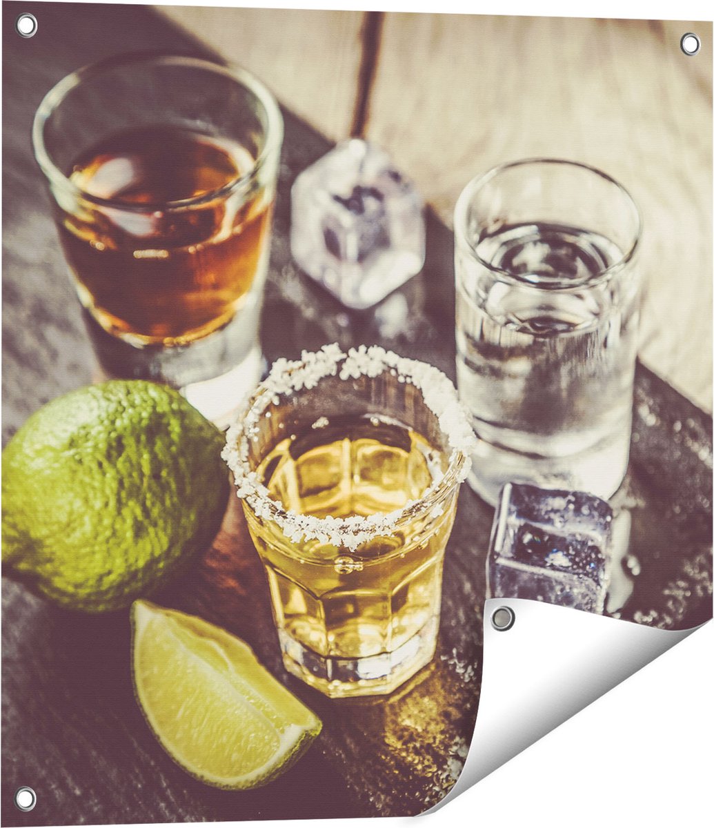 Gards Tuinposter Alcoholische Drankjes - Drank - 60x60 cm - Tuindoek - Tuindecoratie - Wanddecoratie buiten - Tuinschilderij Multikleur