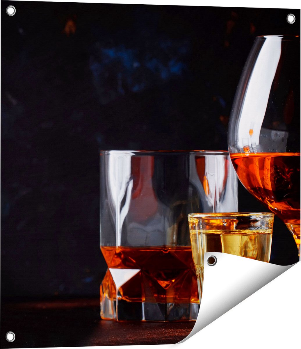 Gards Tuinposter Sterke Alcohol Drank - Glazen - 60x60 cm - Tuindoek - Tuindecoratie - Wanddecoratie buiten - Tuinschilderij Multikleur