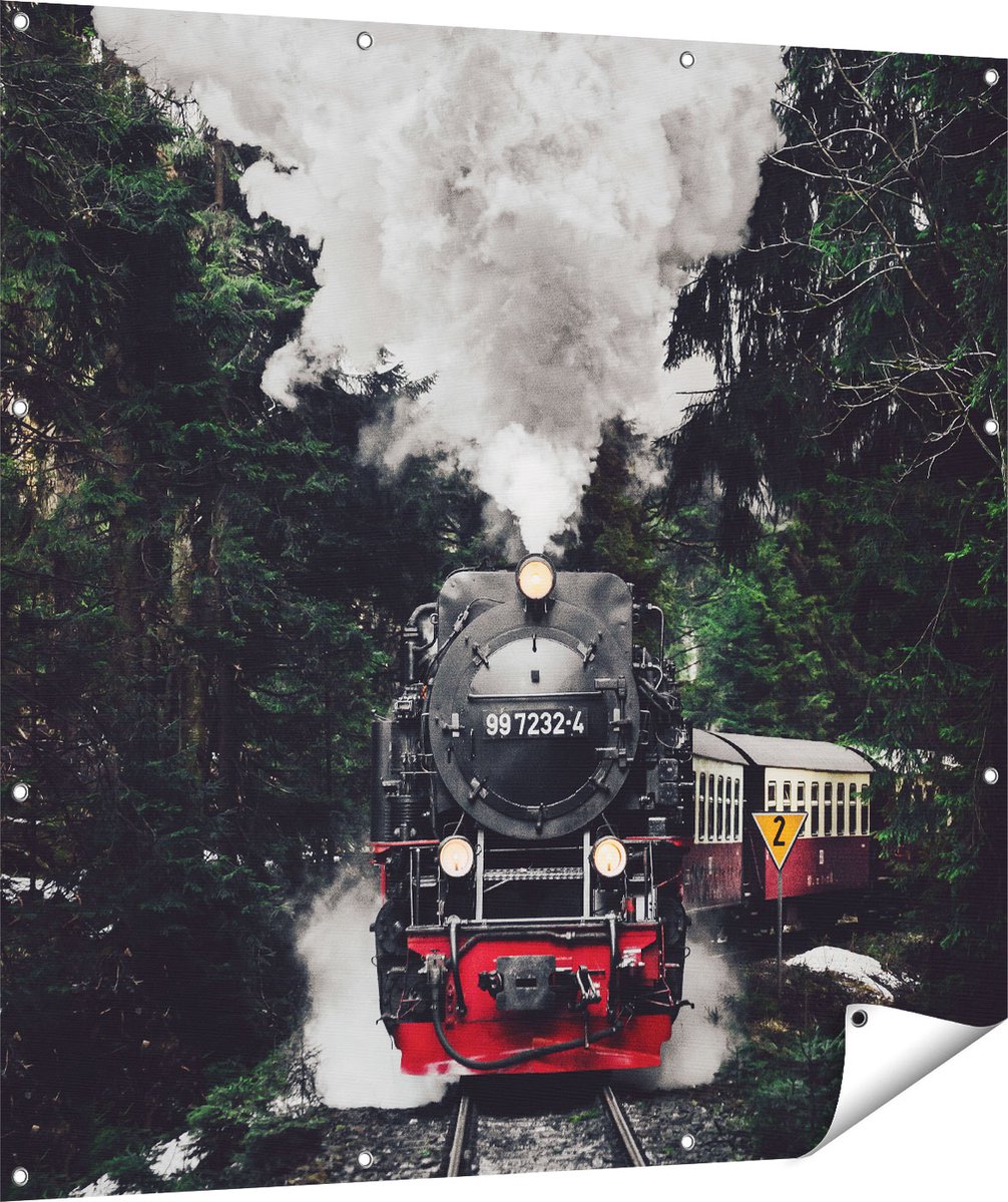 Gards Tuinposter Locomotief in de Bossen met Stoom Wolken - 120x120 cm - Tuindoek - Tuindecoratie - Wanddecoratie buiten - Tuinschilderij Multikleur