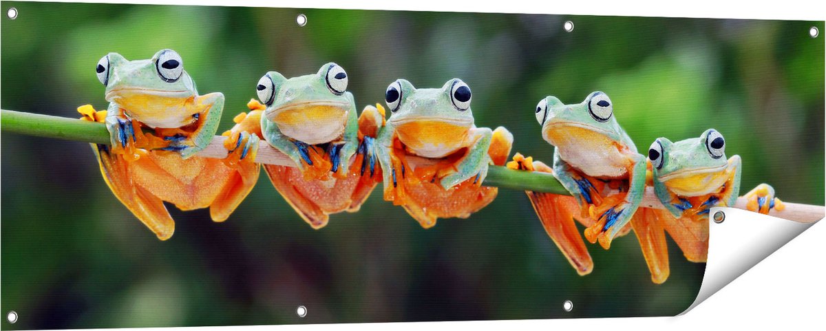 Gards Tuinposter Groep Kikkers op een Tak - 150x50 cm - Tuindoek - Tuindecoratie - Wanddecoratie buiten - Tuinschilderij Multikleur