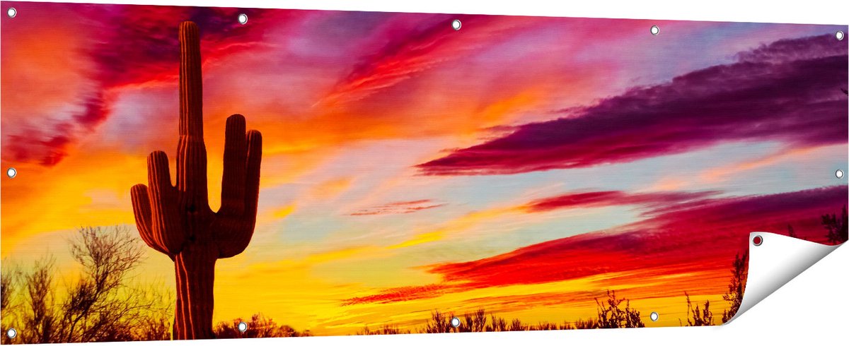 Gards Tuinposter Cactus bij Oranje Zonsondergang - 180x60 cm - Tuindoek - Tuindecoratie - Wanddecoratie buiten - Tuinschilderij Multikleur