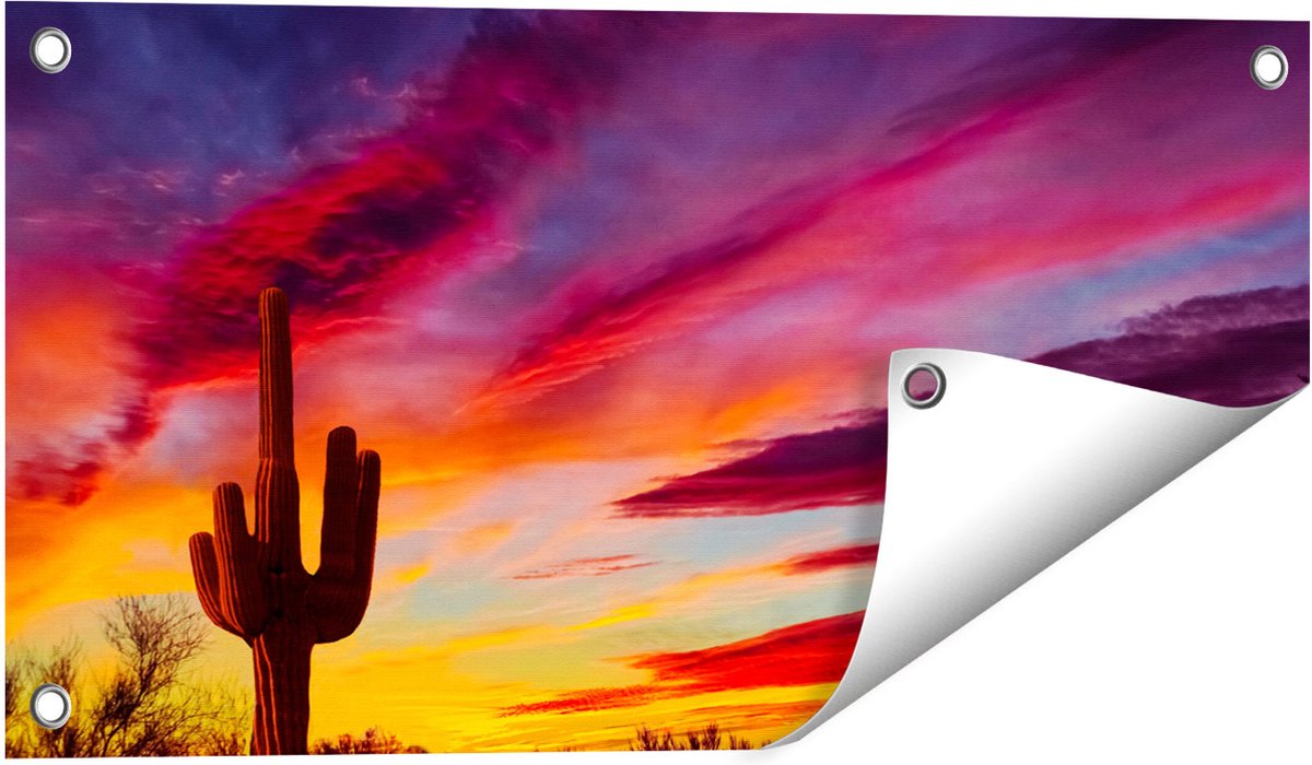 Gards Tuinposter Cactus bij Oranje Zonsondergang - 60x30 cm - Tuindoek - Tuindecoratie - Wanddecoratie buiten - Tuinschilderij Multikleur