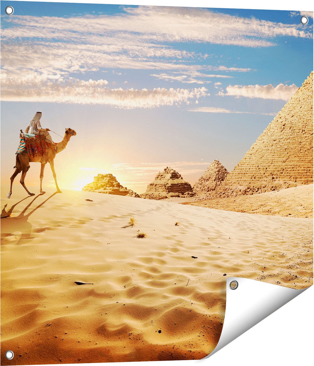 Gards Tuinposter Egyptische Piramides met een Kameel - 70x70 cm - Tuindoek - Tuindecoratie - Wanddecoratie buiten - Tuinschilderij Multikleur