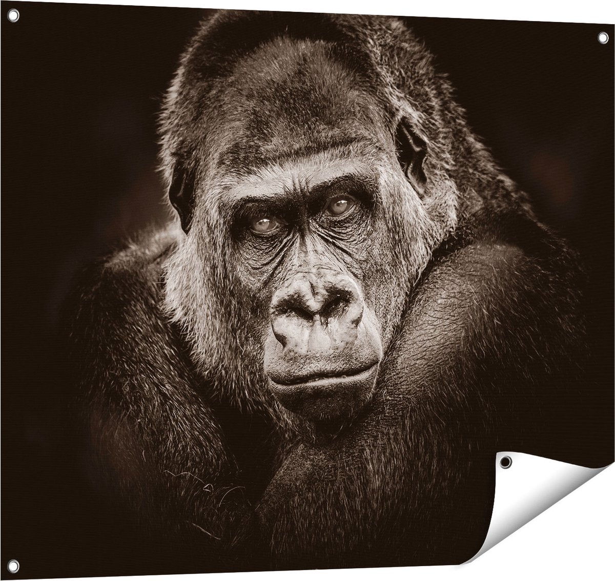 Gards Tuinposter Gorilla - Zwart Wit - 100x80 cm - Tuindoek - Tuindecoratie - Wanddecoratie buiten - Tuinschilderij Multikleur
