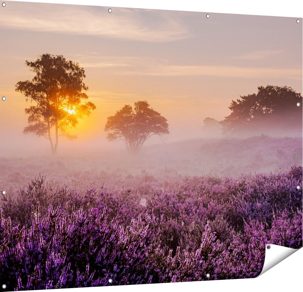 Gards Tuinposter Weide in de Veluwe bij Zonsondergang - 150x120 cm - Tuindoek - Tuindecoratie - Wanddecoratie buiten - Tuinschilderij Multikleur