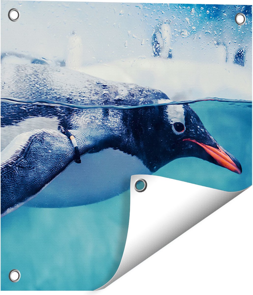 Gards Tuinposter Pingu�n Zwemt in het Water - 40x40 cm - Tuindoek - Tuindecoratie - Wanddecoratie buiten - Tuinschilderij Multikleur