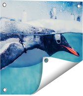 Gards Tuinposter Pingu�n Zwemt in het Water - 40x40 cm - Tuindoek - Tuindecoratie - Wanddecoratie buiten - Tuinschilderij