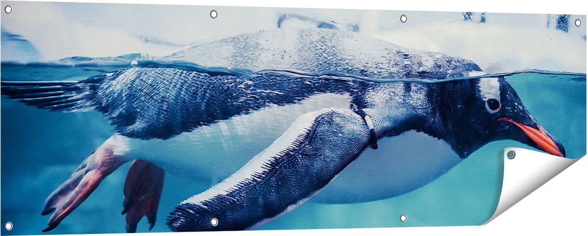 Gards Tuinposter Pingu�n Zwemt in het Water - 150x50 cm - Tuindoek - Tuindecoratie - Wanddecoratie buiten - Tuinschilderij Multikleur