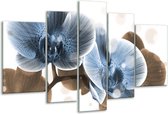 Peinture sur verre d'orchidée | Bleu gris | 170x100cm 5 Liège | Tirage photo sur verre |  F005077
