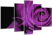 Peinture sur verre rose | Violet, noir | 170x100cm 5 Liège | Tirage photo sur verre |  F004153
