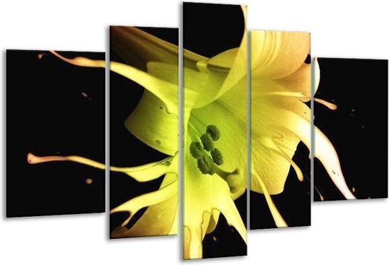 Glasschilderij Bloem - Zwart, Geel, Groen - 170x100cm 5Luik - Foto Op Glas - Geen Acrylglas Schilderij - 6000+ Glasschilderijen Collectie - Wanddecoratie