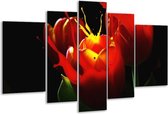 Glasschilderij Tulp - Rood, Zwart, Groen - 170x100cm 5Luik - Foto Op Glas - Geen Acrylglas Schilderij - 6000+ Glasschilderijen Collectie - Wanddecoratie