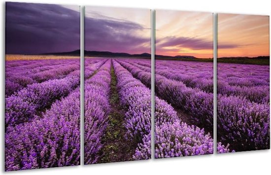 GroepArt - Glasschilderij - Lavendel - Paars - 160x80cm 4Luik - Foto Op Glas - Geen Acrylglas Schilderij - 6000+ Glasschilderijen Collectie - Wanddecoratie