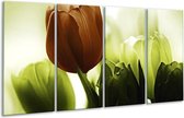 GroepArt - Glasschilderij - Tulpen - Bruin, Wit, Grijs - 160x80cm 4Luik - Foto Op Glas - Geen Acrylglas Schilderij - 6000+ Glasschilderijen Collectie - Wanddecoratie