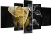 Glasschilderij Roos - Geel, Grijs, Zwart - 170x100cm 5Luik - Foto Op Glas - Geen Acrylglas Schilderij - 6000+ Glasschilderijen Collectie - Wanddecoratie