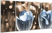 Peinture sur verre tulipe | Bleu gris | 160x80cm 4 Liège | Tirage photo sur verre |  F005149