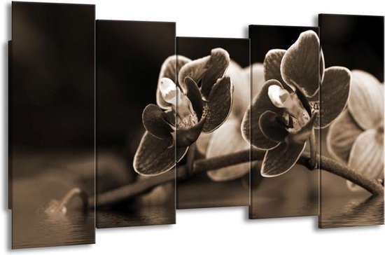 Canvas schilderij Orchidee | Sepia, Bruin | | F001919