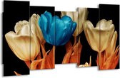 GroepArt - Canvas Schilderij - Tulp - Blauw, Oranje, Zwart - 150x80cm 5Luik- Groot Collectie Schilderijen Op Canvas En Wanddecoraties