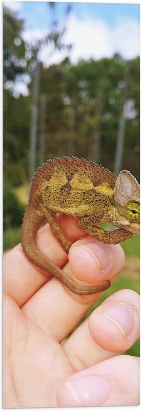 Vlag - Kleine Kameleon op Mensenhand - 20x60 cm Foto op Polyester Vlag