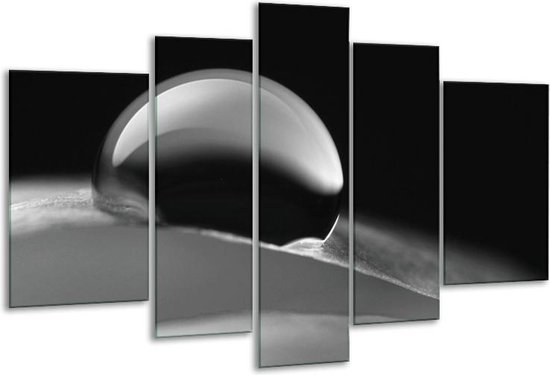 Glasschilderij Macro - Zwart, Grijs - 170x100cm 5Luik - Foto Op Glas - Geen Acrylglas Schilderij - 6000+ Glasschilderijen Collectie - Wanddecoratie