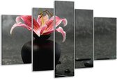 Glasschilderij Bloem, Modern - Zwart, Roze, Grijs - 170x100cm 5Luik - Foto Op Glas - Geen Acrylglas Schilderij - 6000+ Glasschilderijen Collectie - Wanddecoratie