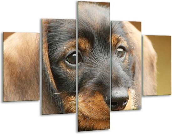 Glasschilderij -  Hond - Grijs, Zwart, Bruin - 100x70cm 5Luik - Geen Acrylglas Schilderij - GroepArt 6000+ Glasschilderijen Collectie - Wanddecoratie- Foto Op Glas