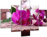 Peinture sur verre d'orchidée | Vert, violet, noir | 100x70cm 5Liège | Tirage photo sur verre |  F004046
