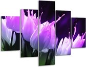 Peinture sur verre tulipe | Violet, noir, rose | 100x70cm 5Liège | Tirage photo sur verre |  F003943