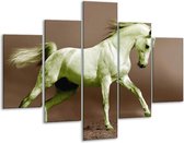 Peinture sur verre de cheval | Brun vert | 100x70cm 5Liège | Tirage photo sur verre | F003682