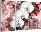 GroepArt - Schilderij -  Orchidee - Wit, Rood - 120x80cm 3Luik - 6000+ Schilderijen 0p Canvas Art Collectie