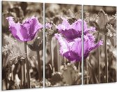 Peinture sur toile Tulipes | Violet, marron, gris | 120x80cm 3 Liège