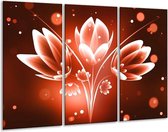 Peinture sur toile Fleur | rouge blanc | 120x80cm 3 Liège