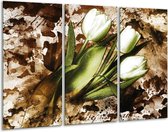GroepArt - Schilderij -  Tulpen - Groen, Bruin, Wit - 120x80cm 3Luik - 6000+ Schilderijen 0p Canvas Art Collectie