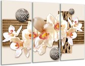 GroepArt - Schilderij -  Orchidee - Crème, Bruin - 120x80cm 3Luik - 6000+ Schilderijen 0p Canvas Art Collectie