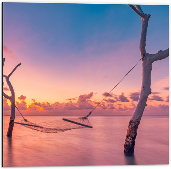 Dibond - Hangmat tussen Kale Takken in de Zee tijdens Zonsondergang - 50x50 cm Foto op Aluminium (Wanddecoratie van metaal)