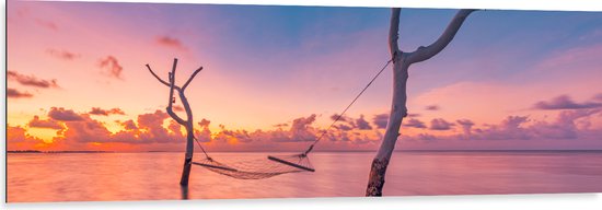 Dibond - Hangmat tussen Kale Takken in de Zee tijdens Zonsondergang - 150x50 cm Foto op Aluminium (Wanddecoratie van metaal)
