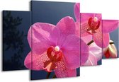 GroepArt - Schilderij -  Orchidee - Paars, Wit, Rood - 160x90cm 4Luik - Schilderij Op Canvas - Foto Op Canvas