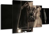 GroepArt - Schilderij -  Hond - Grijs, Zwart, Wit - 160x90cm 4Luik - Schilderij Op Canvas - Foto Op Canvas