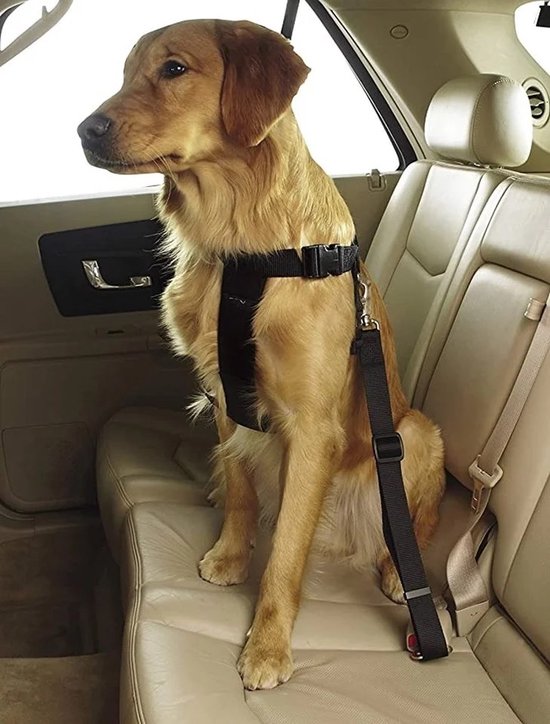 Hondenriem voor de auto, veiligheidsgordel voor honden