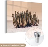 MuchoWow® Glasschilderij 120x80 cm - Schilderij acrylglas - Cactus - Plant - Natuur - Groen - Foto op glas - Schilderijen