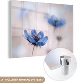 Acrylglas - Wanddecoratie glas - Bloemen - Cosmos - Natuur - Glasschilderij - 60x40 cm - Schilderij glas