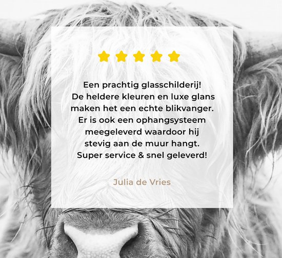 MuchoWow® Peinture sur verre 50x50 cm - Peinture sur verre - Highlander écossais - Animaux - Cornes - Zwart et blanc - Photo sur verre acrylique - Peintures