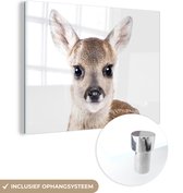 MuchoWow® Peinture sur verre - Cerf - Animaux - Marron - Nature - 40x30 cm - Peintures sur verre acrylique - Photo sur Glas