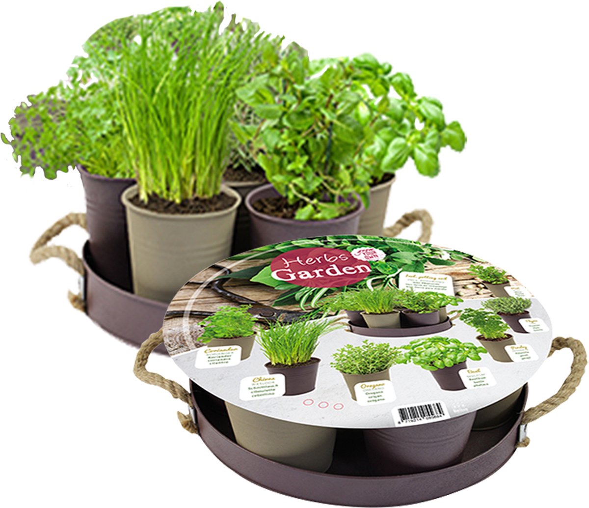 Herb Festival 7 Potjes Kruiden Taupe Kruidenzaden Baltus Zaden