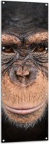 Tuinposter – Portretfoto van Kop van Booskijkende Chimpansee - 50x150 cm Foto op Tuinposter (wanddecoratie voor buiten en binnen)
