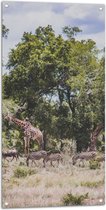 Tuinposter – Zebra's, Bizons en Giraffen Lopend door de Bossen in Afrika - 50x100 cm Foto op Tuinposter (wanddecoratie voor buiten en binnen)