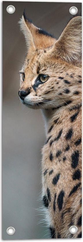 Tuinposter – Opzijkijkende Serval Katachtige - 20x60 cm Foto op Tuinposter (wanddecoratie voor buiten en binnen)
