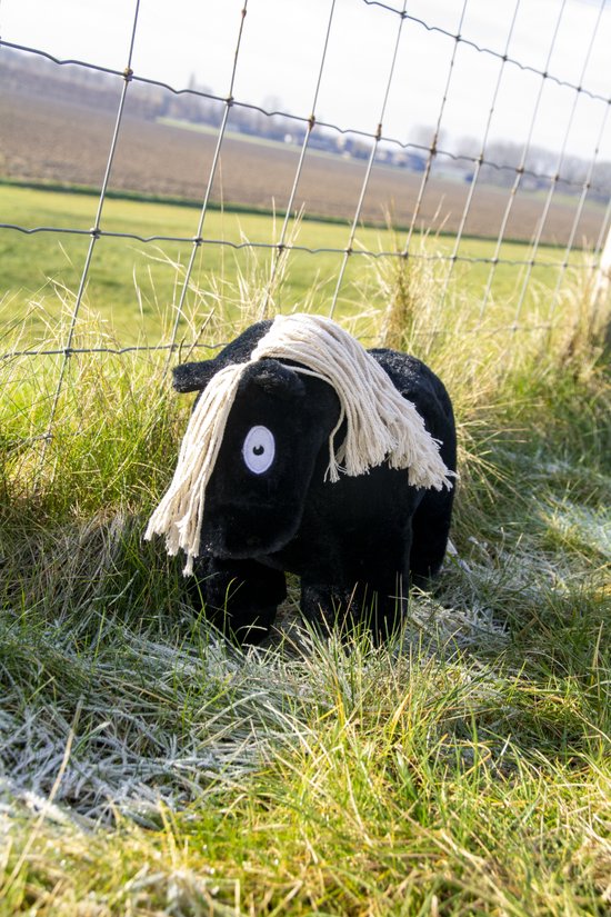 Zwart pluche paardje met witte manen, staand in gras